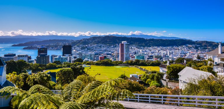 Wellington’s tech industry offers free trip to New Zealand – but there’s a catch