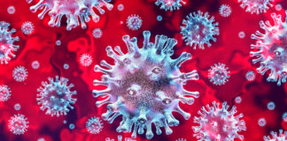 Coronavirus: updates