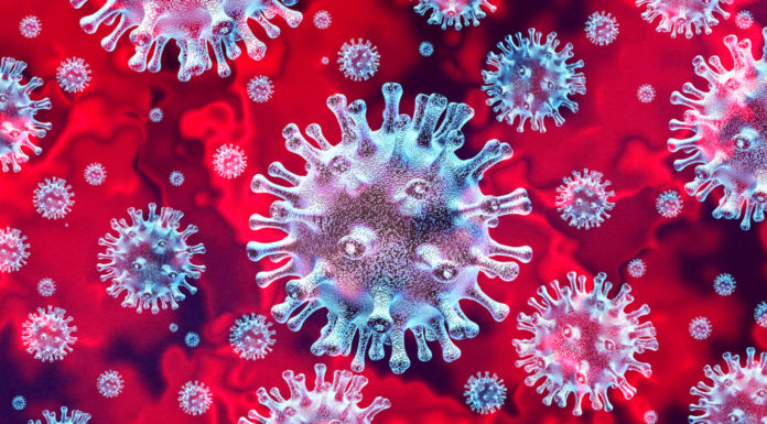 Coronavirus: updates